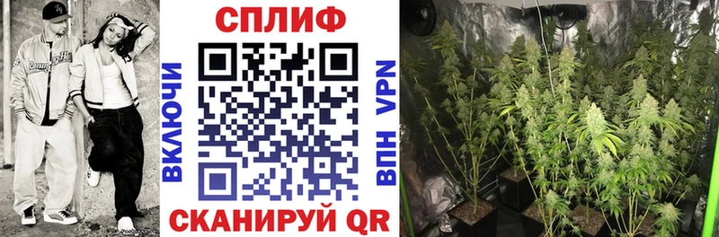 Купить наркотики Ногинск A-PVP  Экстази  Каннабис 