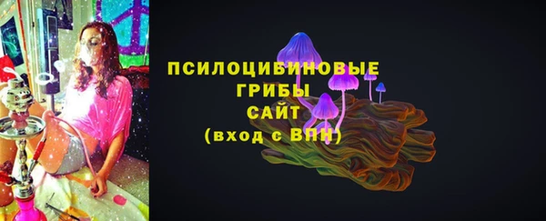 твердый Ладушкин