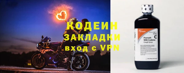 твердый Ладушкин