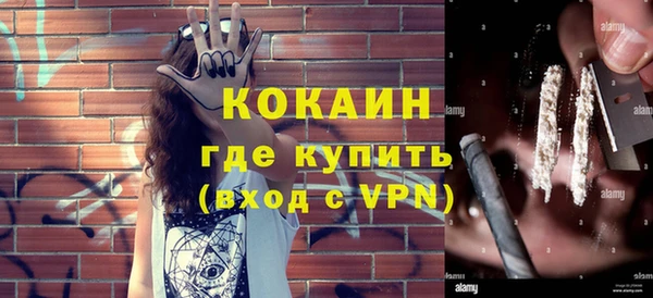 твердый Ладушкин