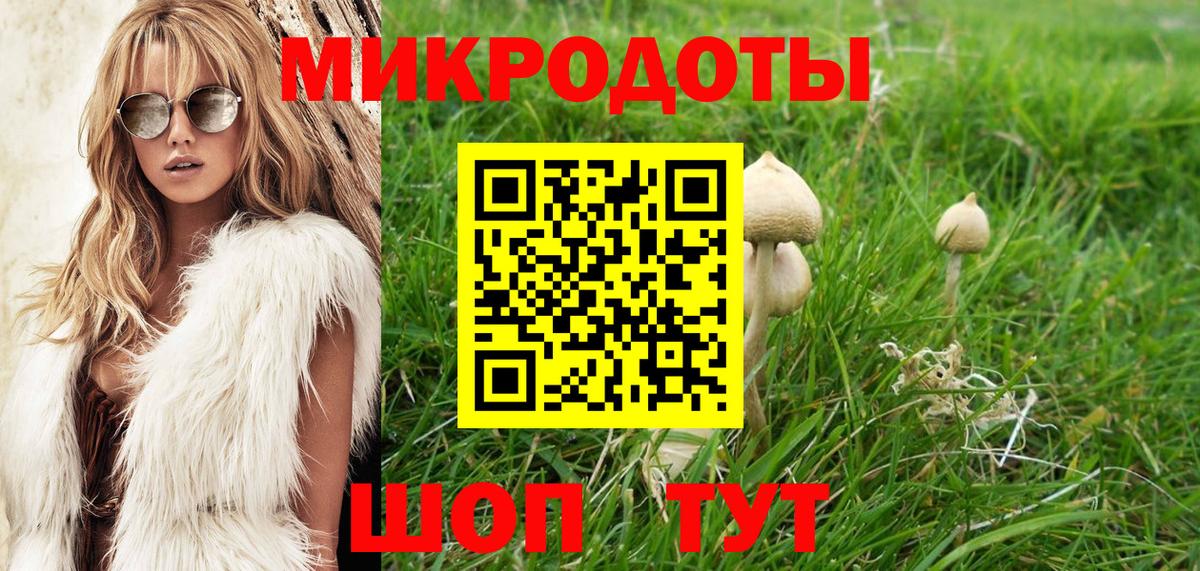 Псилоцибиновые грибы прущие грибы Ногинск