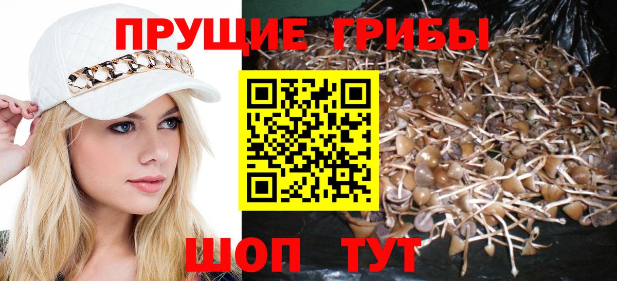 Псилоцибиновые грибы прущие грибы Ногинск