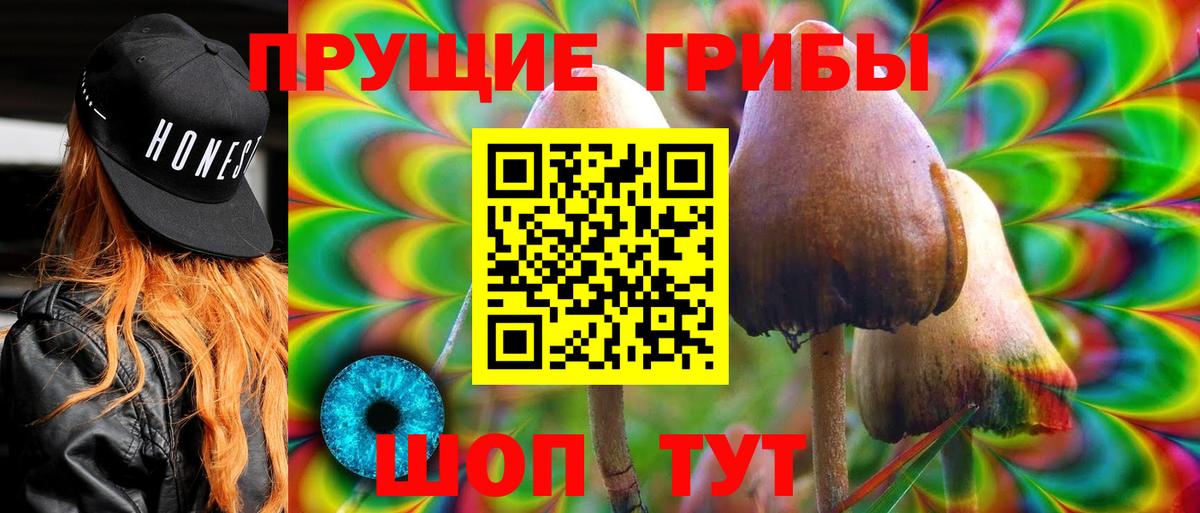 Псилоцибиновые грибы прущие грибы  Псилоцибиновые грибы прущие грибы  Вход с VPN  Ногинск 