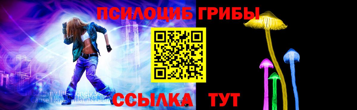 Псилоцибиновые грибы мицелий  купить закладку  Ногинск  Галлюциногенные грибы Cubensis 