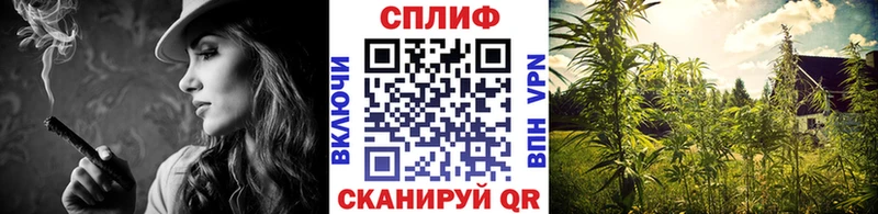 Бошки Шишки сатива  нарко площадка официальный сайт  Ногинск 